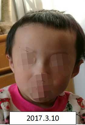 女人插插视频网
